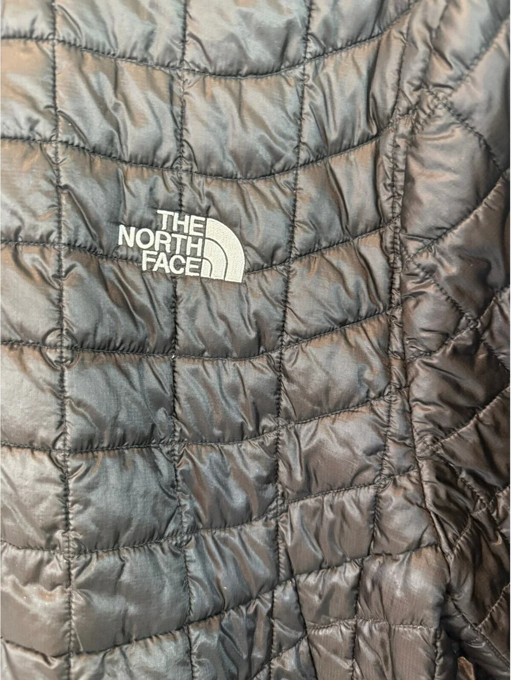 The North Face this black