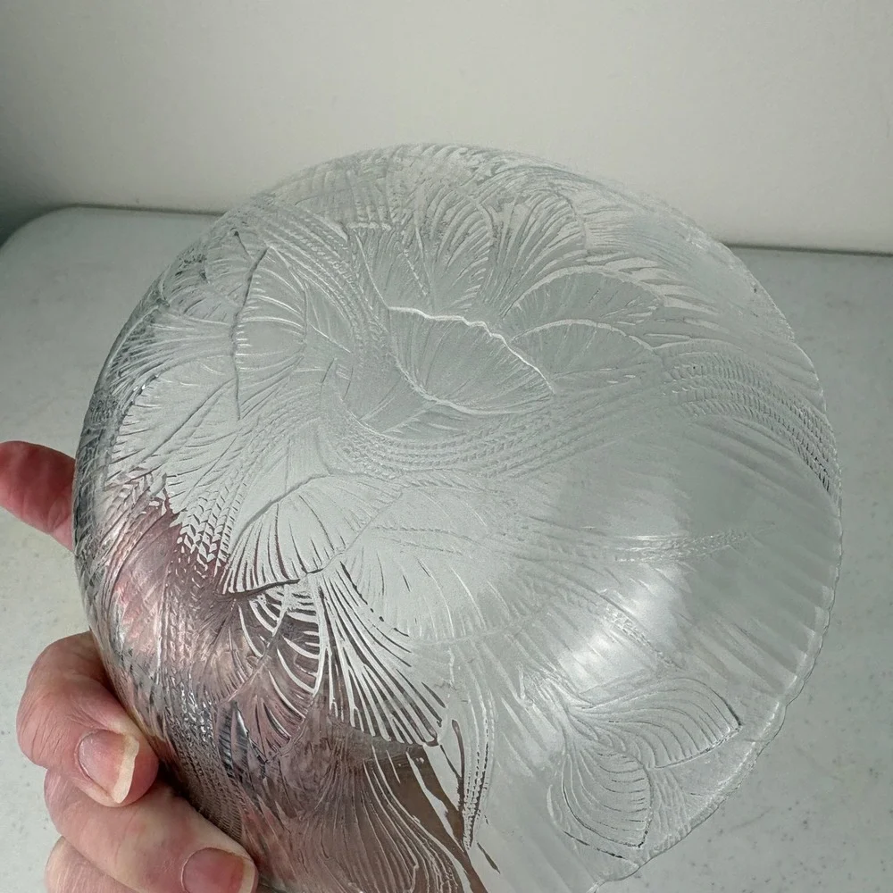 Arcoroc france glass