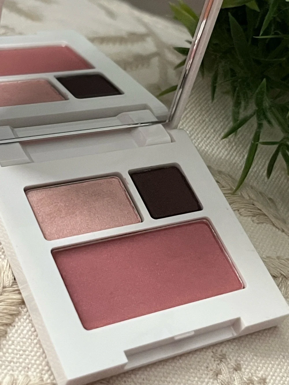 Clinique cliniques~ eyeshadow