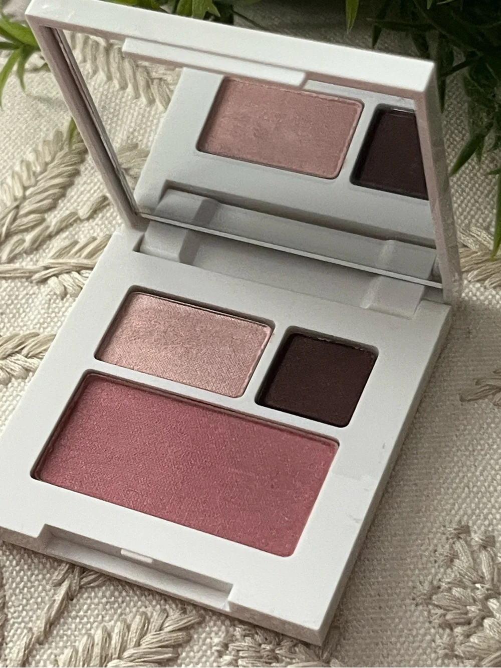Clinique cliniques~ eyeshadow