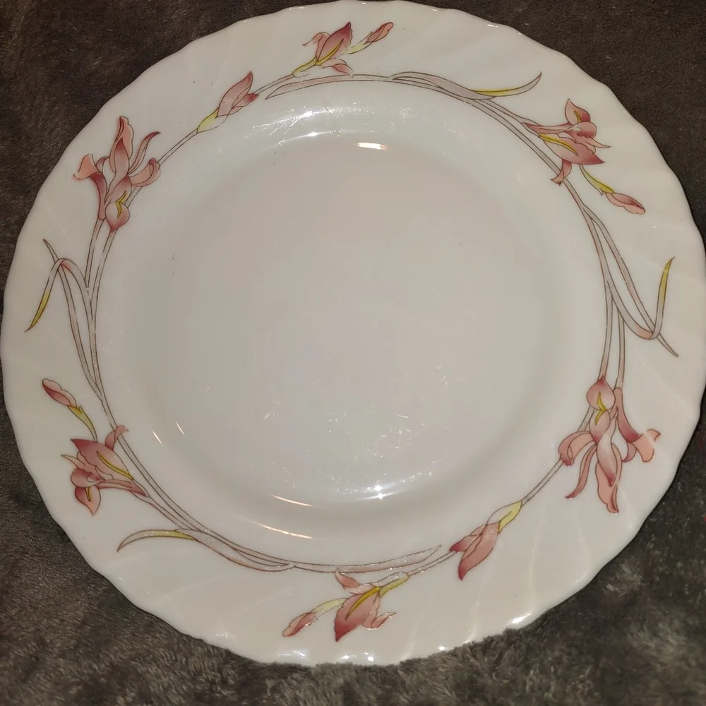 1970s Arcopal France Dinner Plate