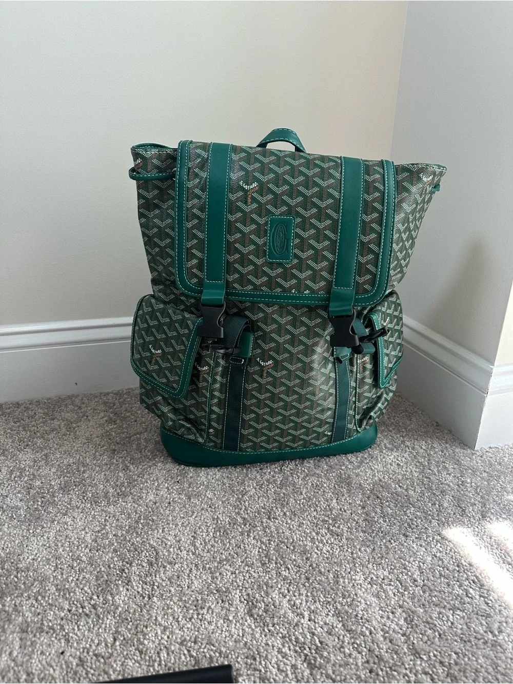 Green Patterned Canvas Men's Backpack - Designer Inspired