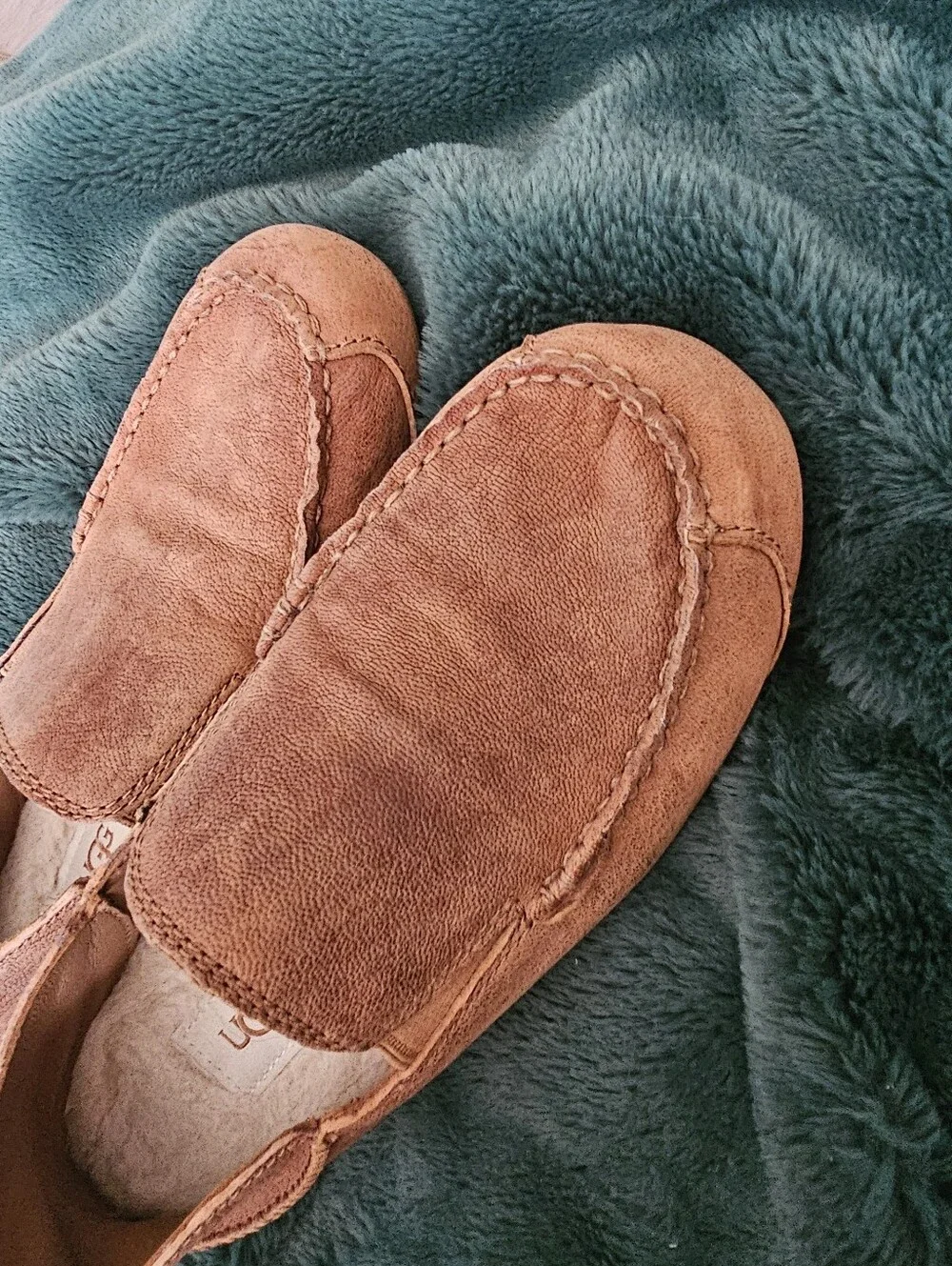 UGG australia model