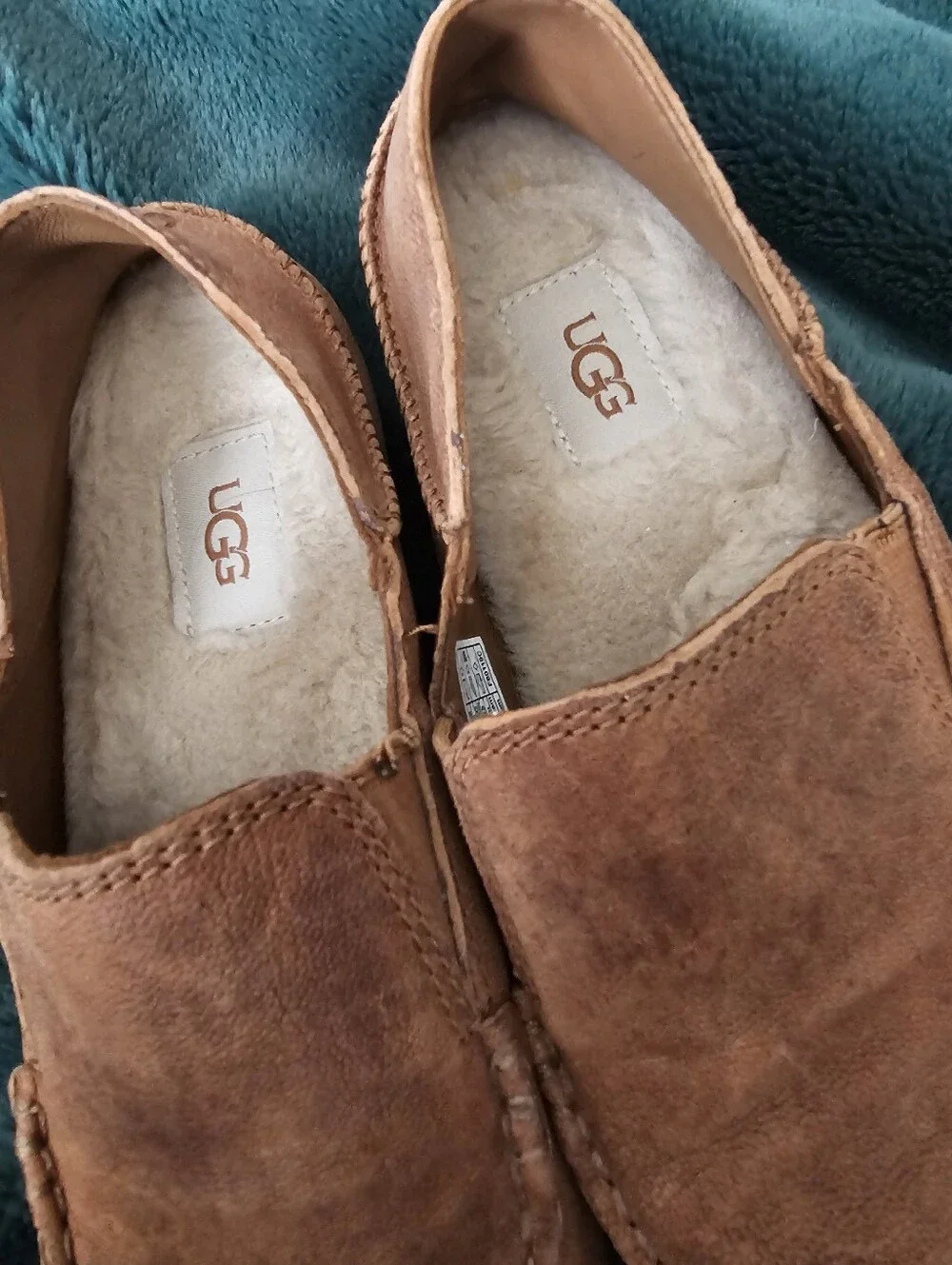 UGG australia model