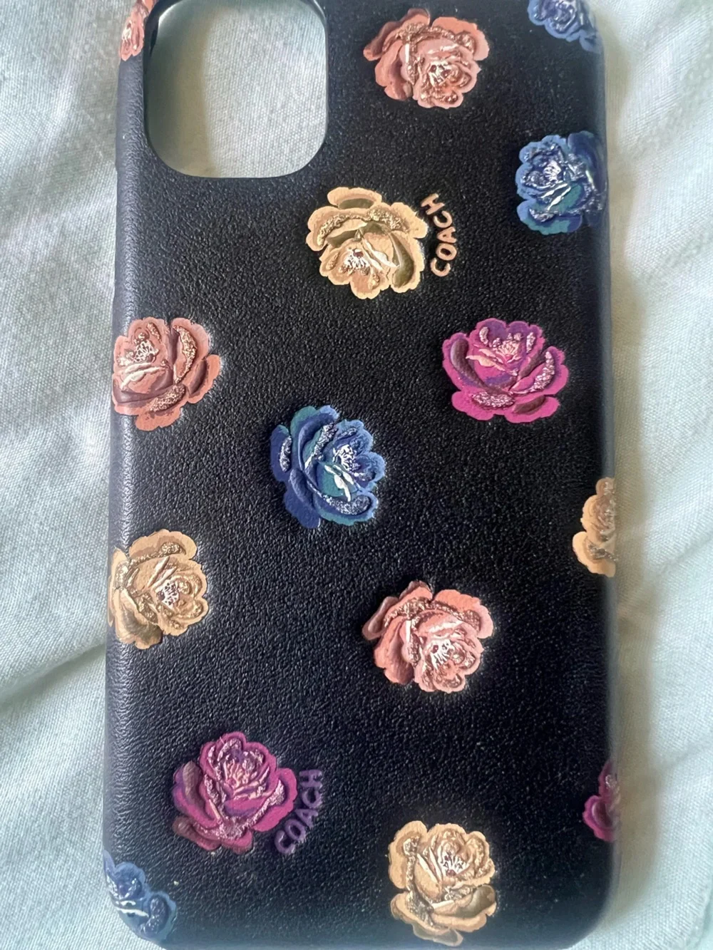 Coach protective case