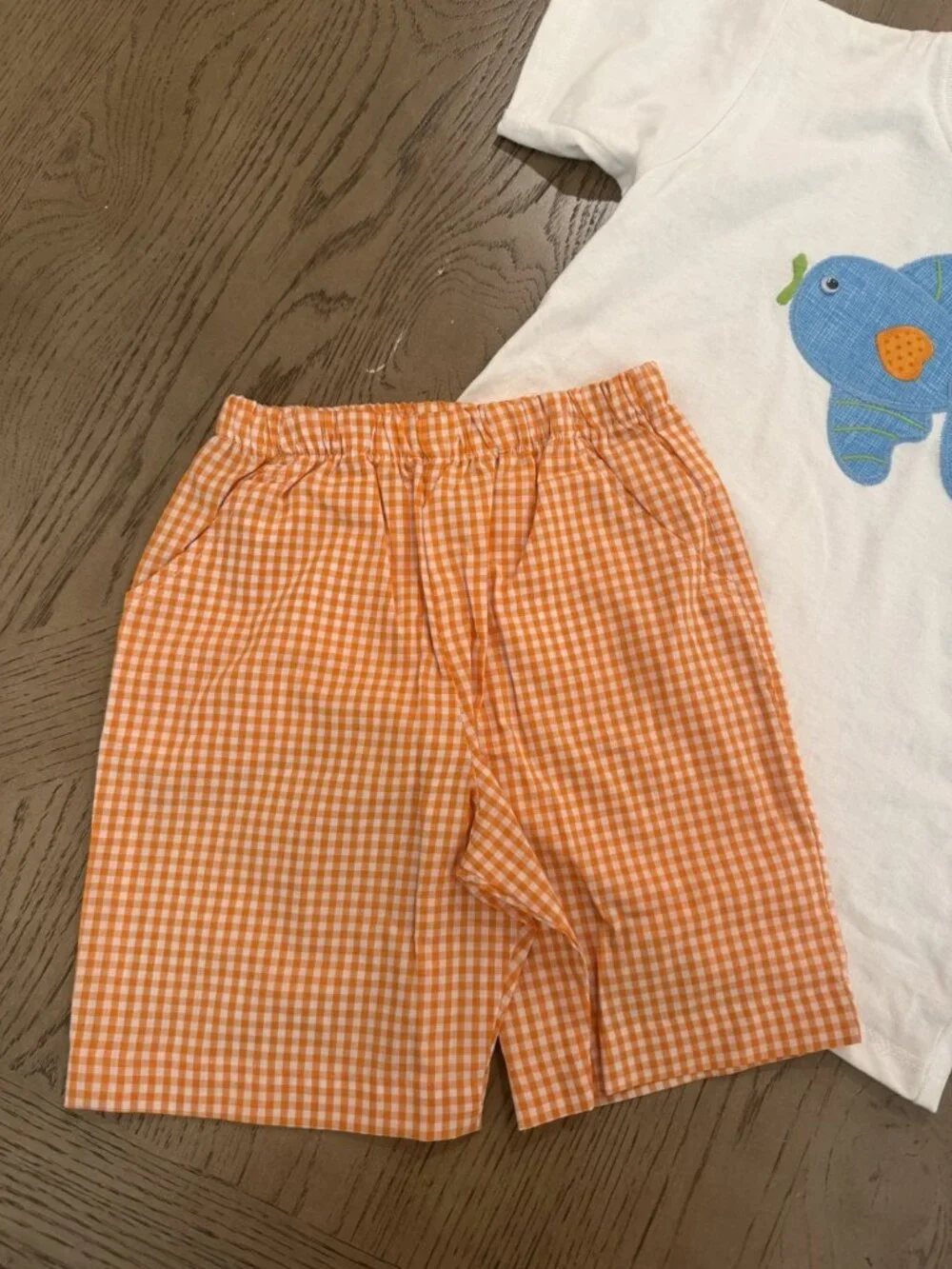 The Bailey Boys Size 5 Fish Applique T-Shirt & Orange Gingham Shorts Set