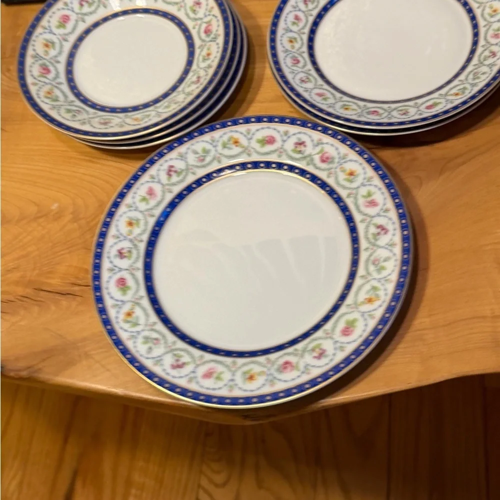Haviland Limoges discontinued china
