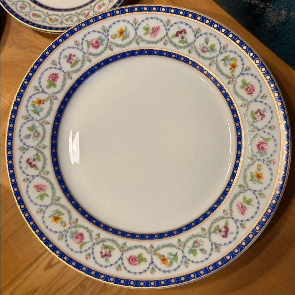 Haviland Limoges discontinued china