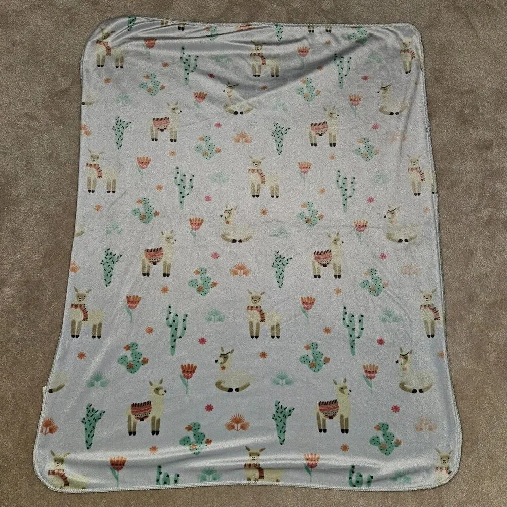 N/A cactus llama