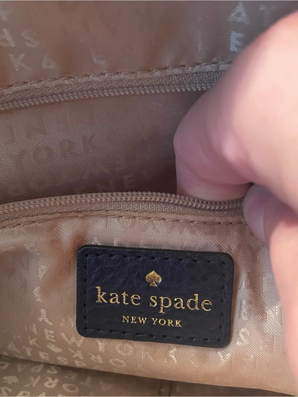 kate spade brand kate