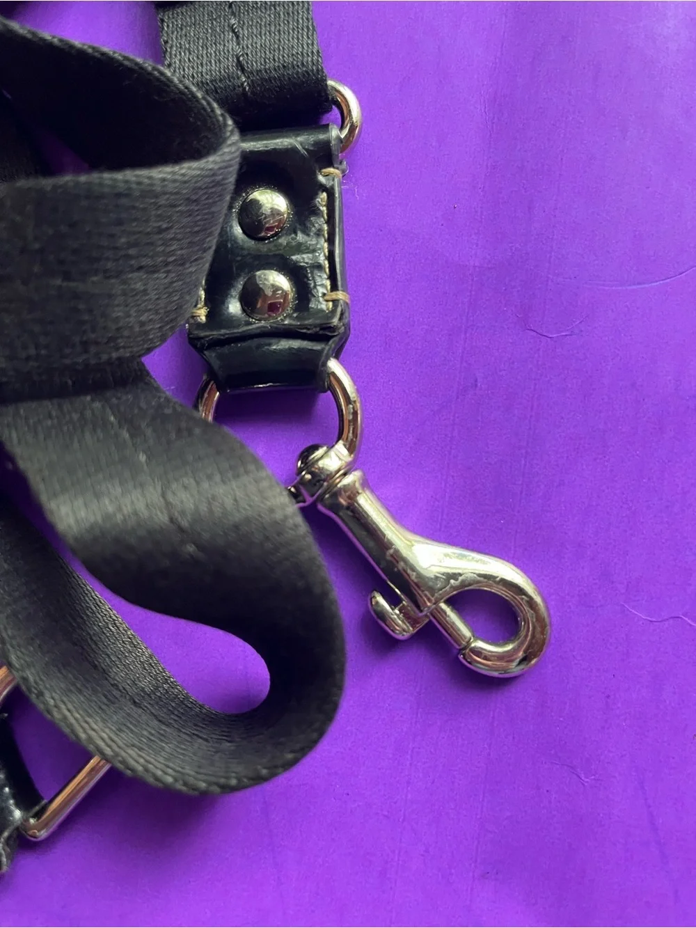 Coach features black