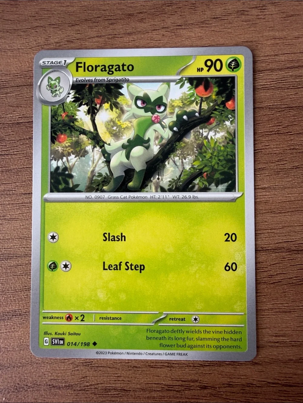 Pokemon mix match