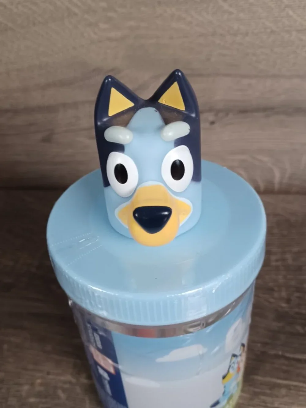 Bluey new creative