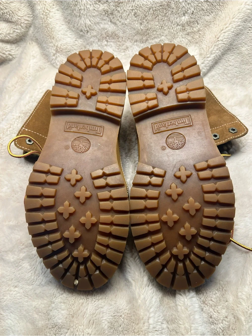 Timberland classic lace