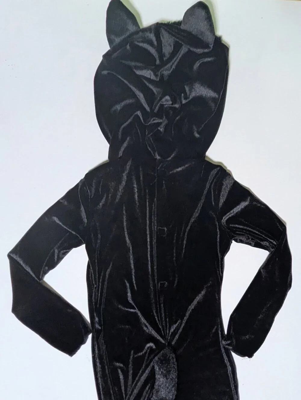 Spirit car costume