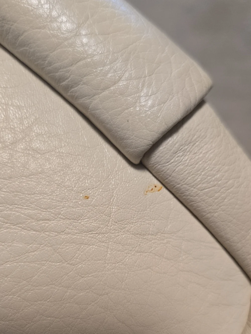 Coach elegant shoulder
