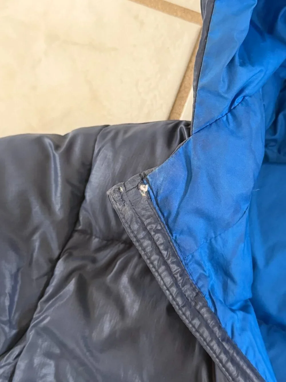 Patagonia reposhing this
