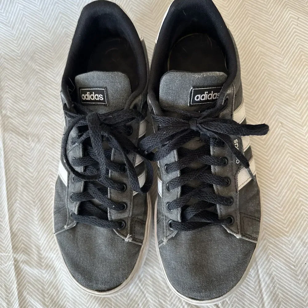 adidas daily men