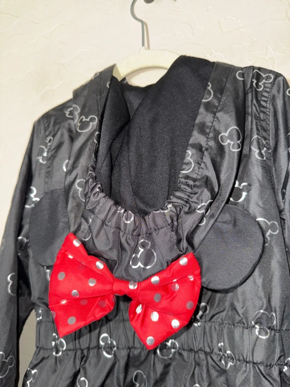 Disney windbreaker hooded