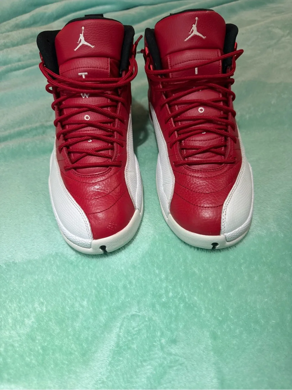 Air Jordan 12 Retro 