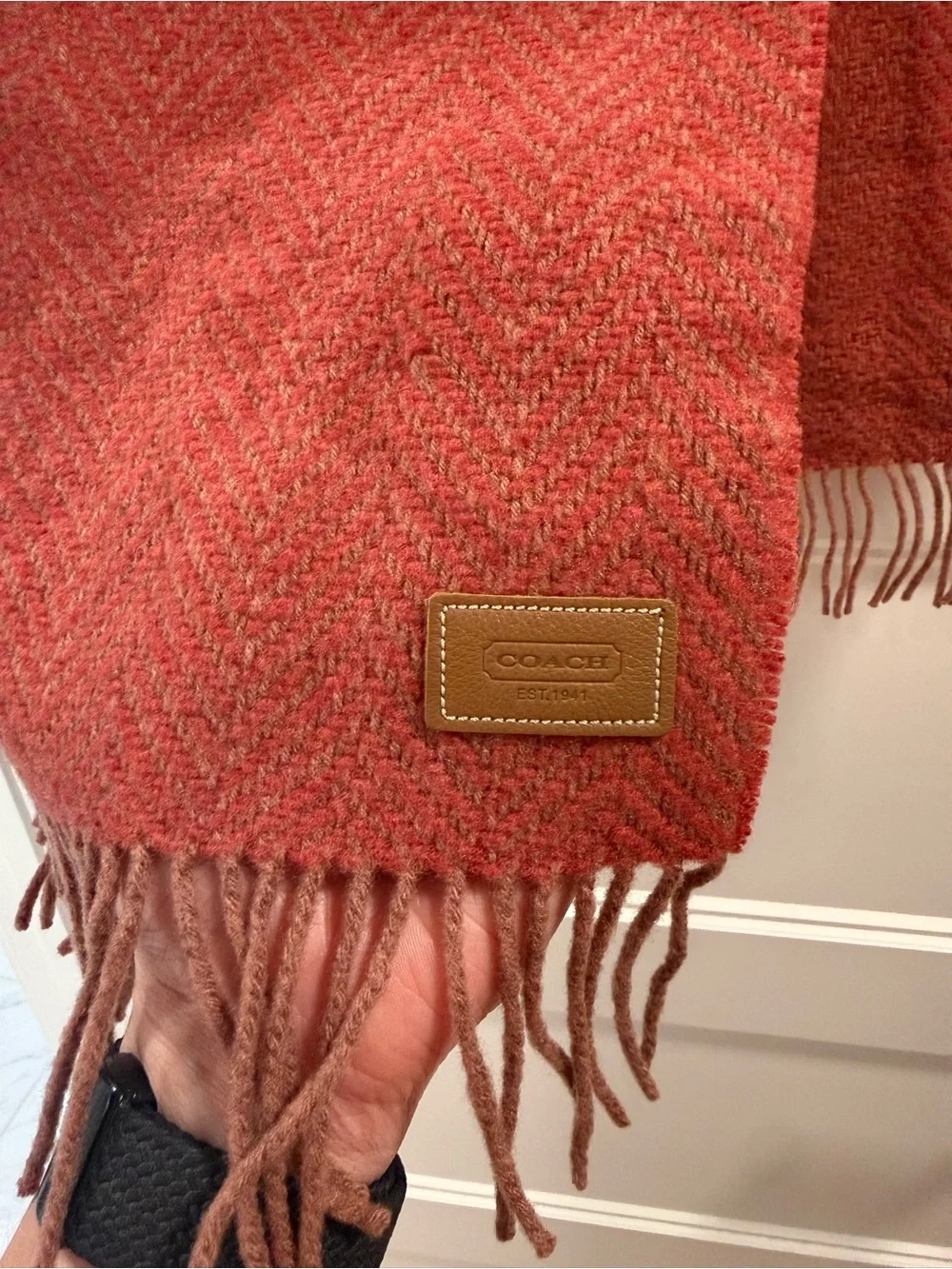 Coach luxurious scarf