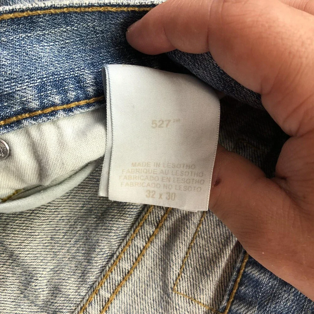 Levis levis 527