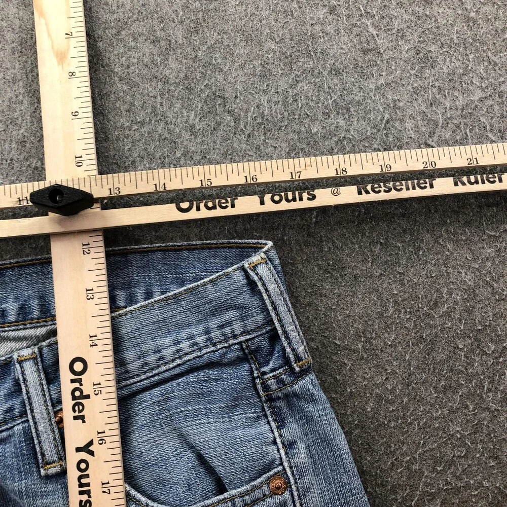 Levis levis 527