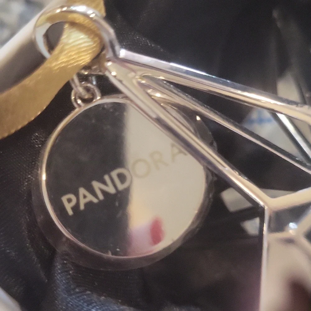 Pandora boxed shiny