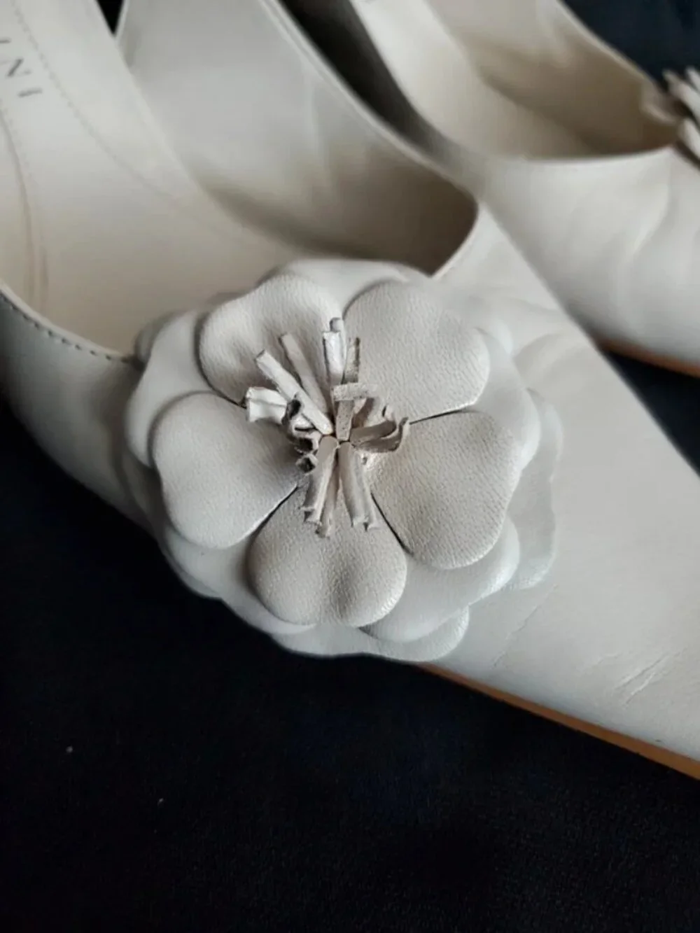 N/A gianni bini