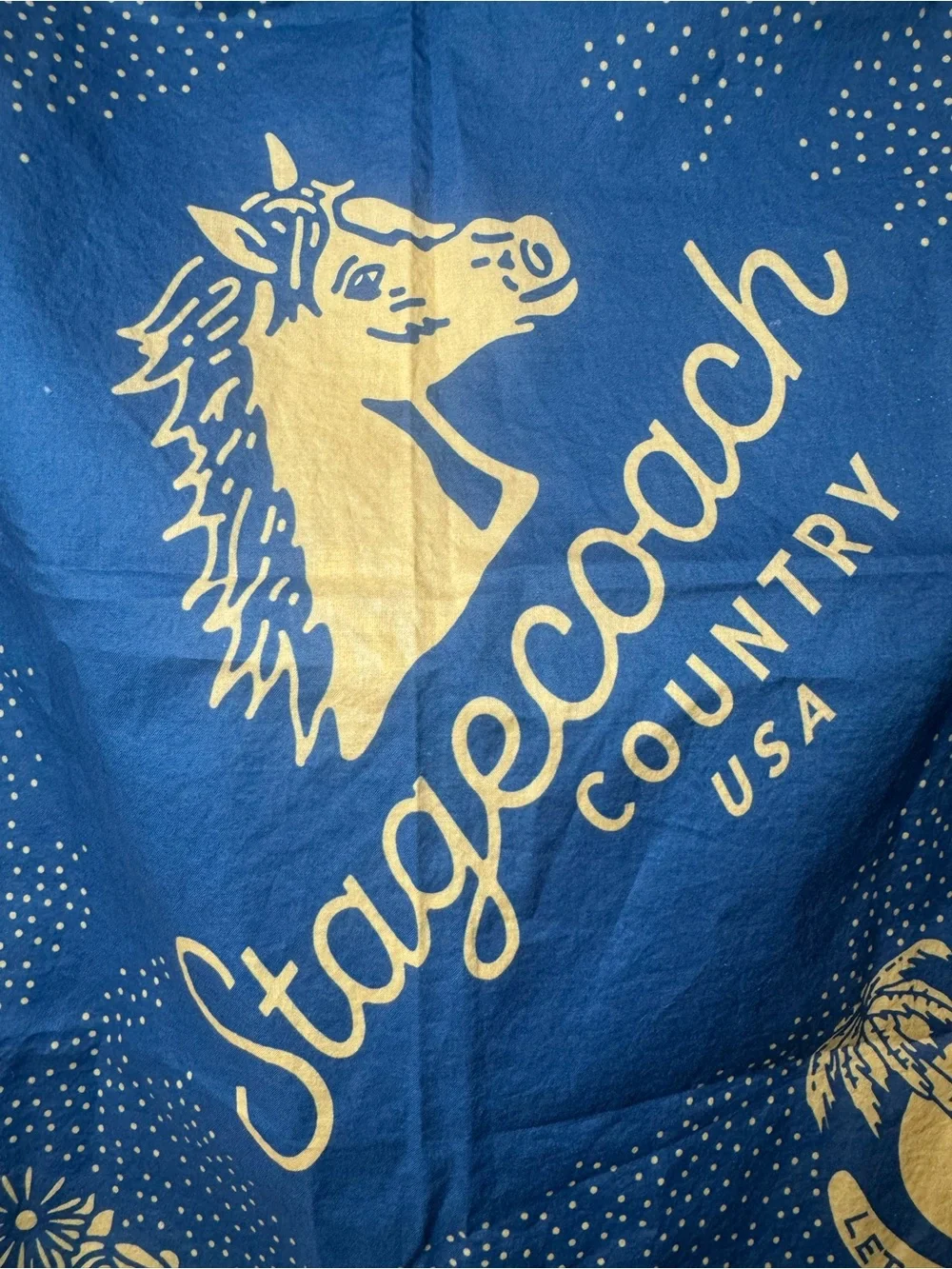 Stagecoach beautiful blue