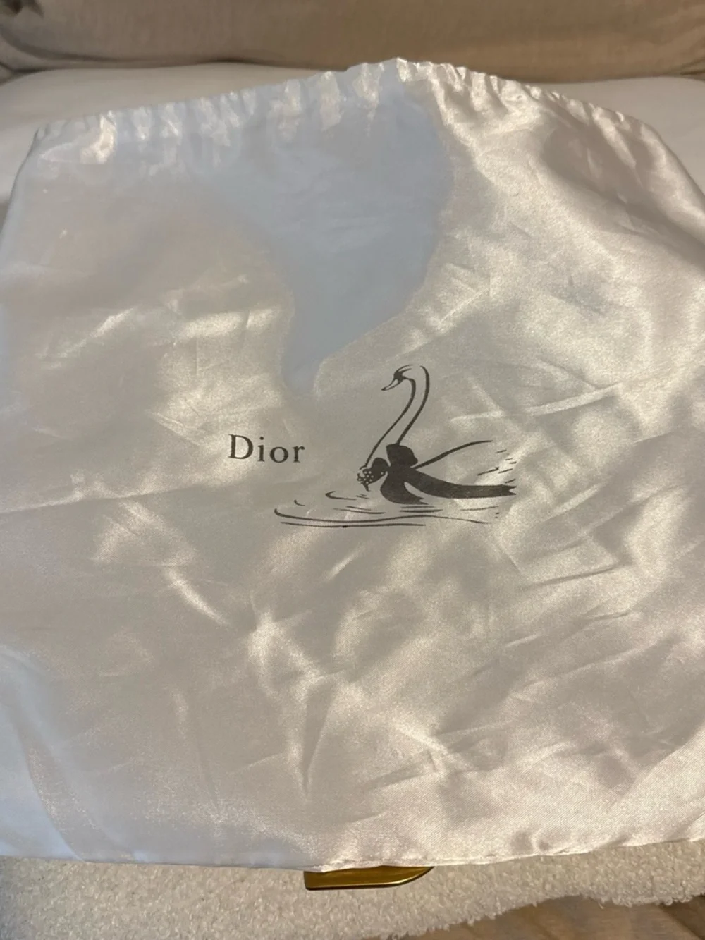 Dior iconic monogram