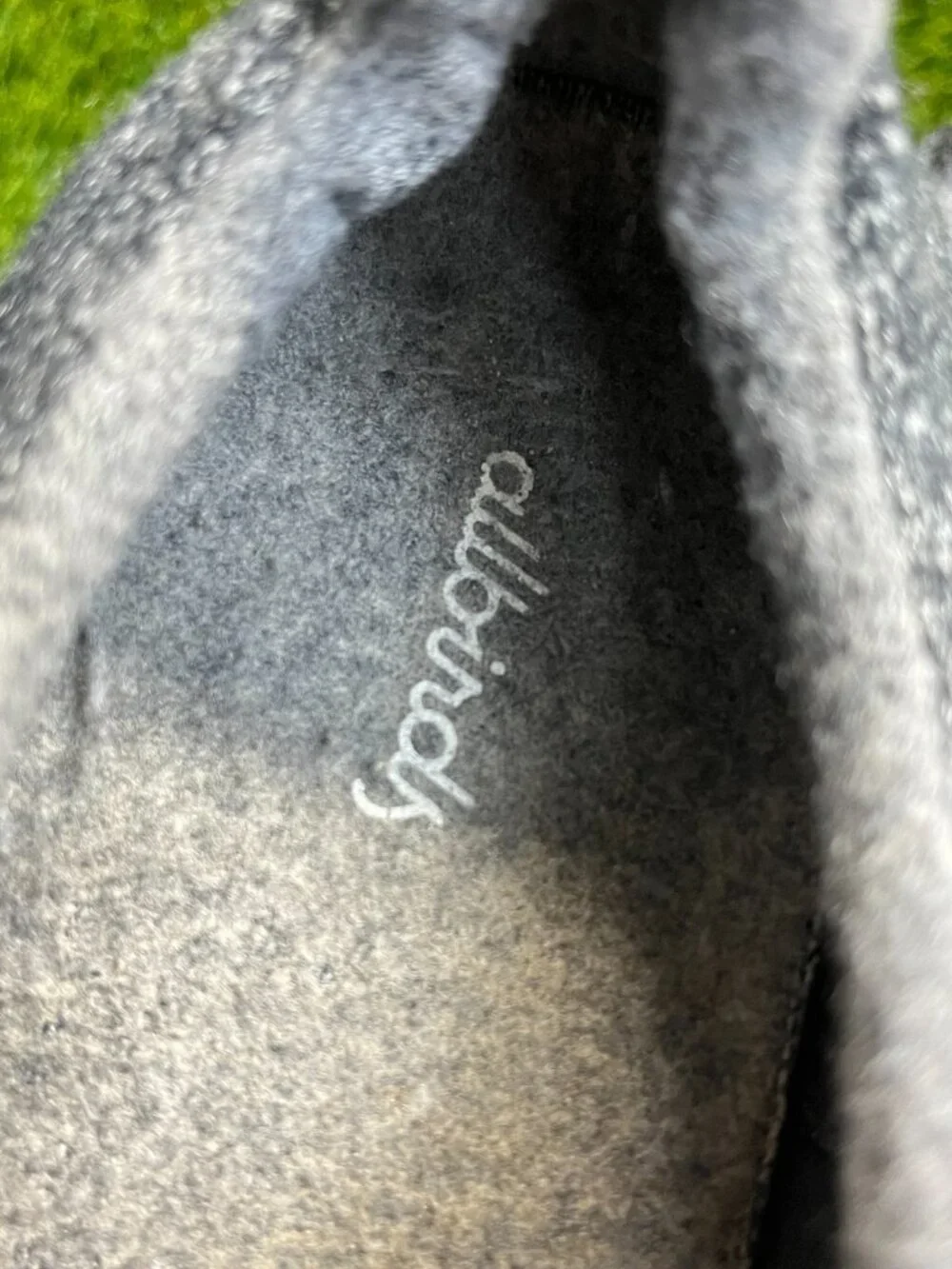 allbirds please review