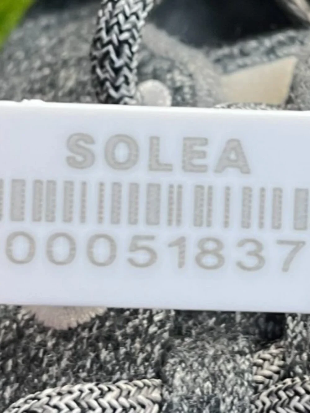 allbirds please review