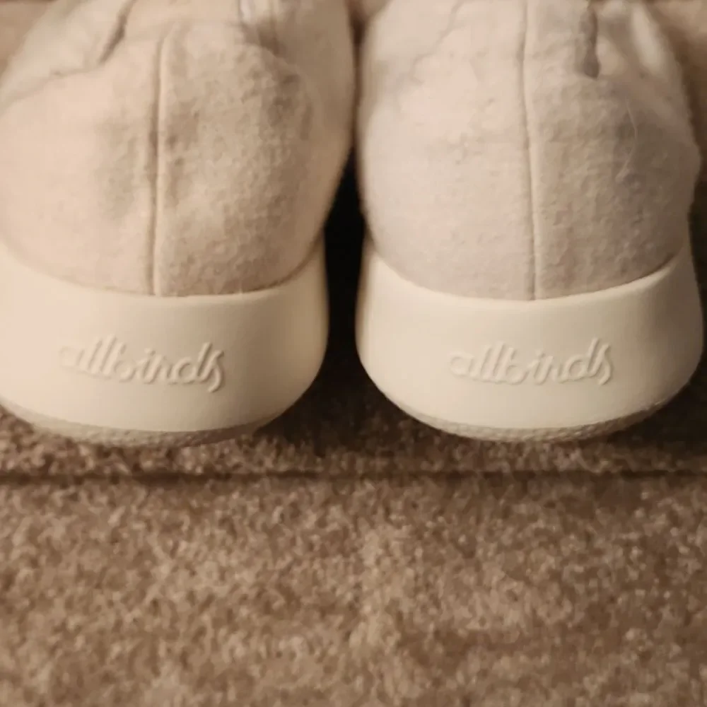 allbirds men which good