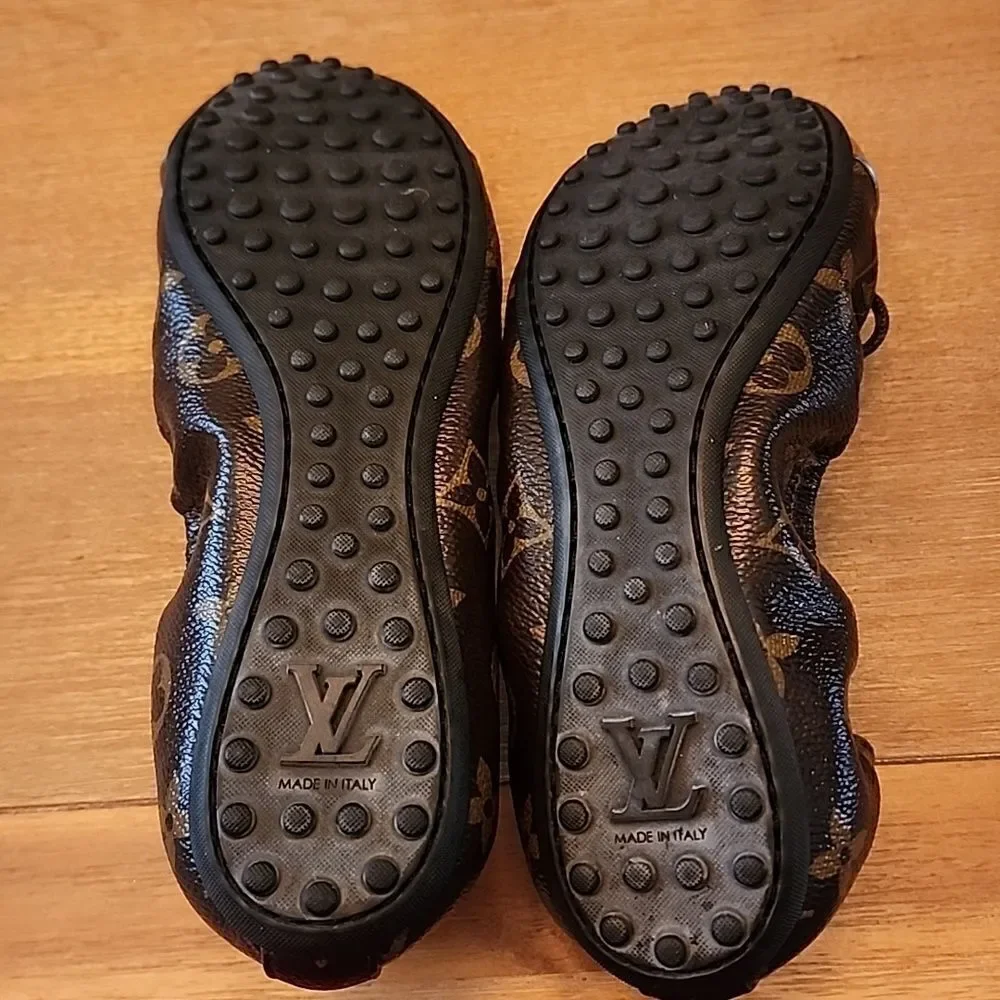 Louis Vuitton authentic louis