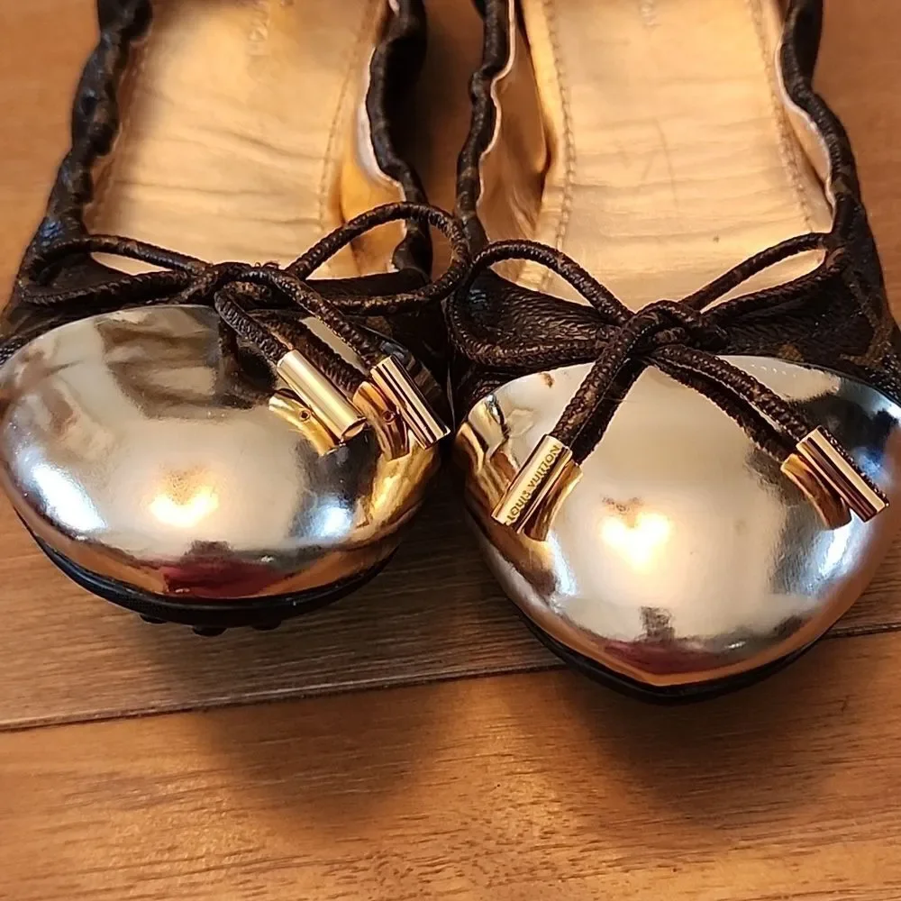 Louis Vuitton authentic louis