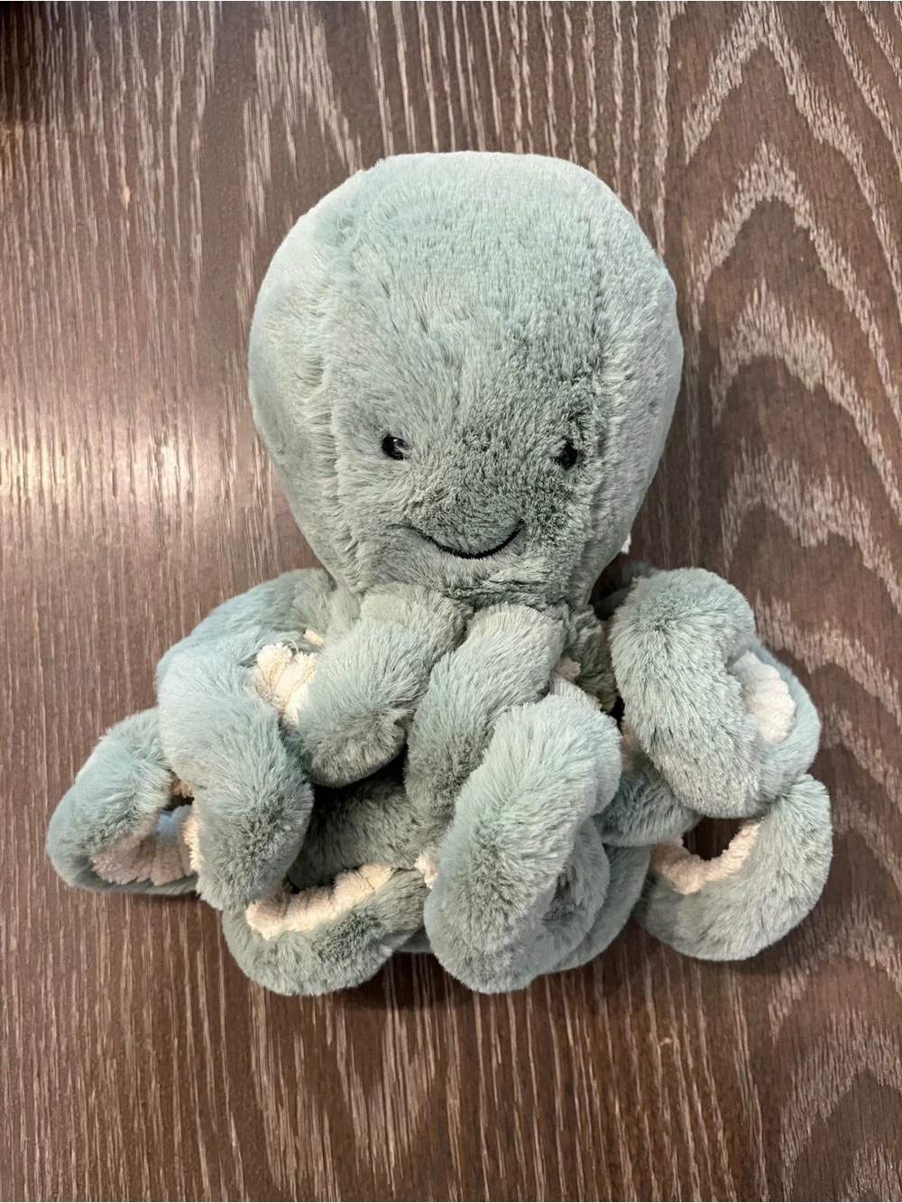 Jellycat gently loved