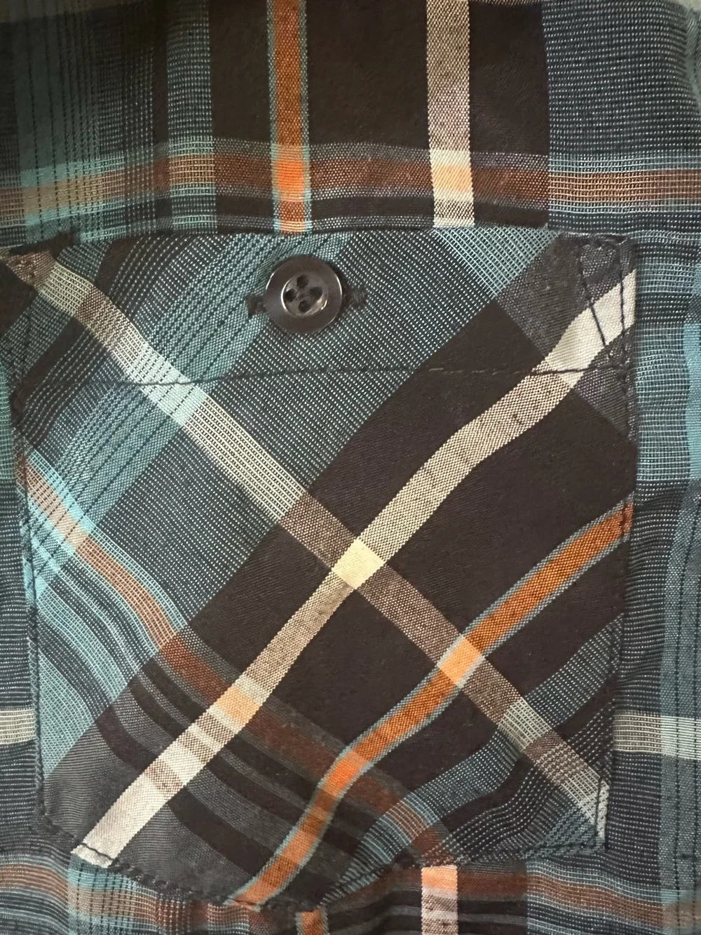 Bold Blue casual short
