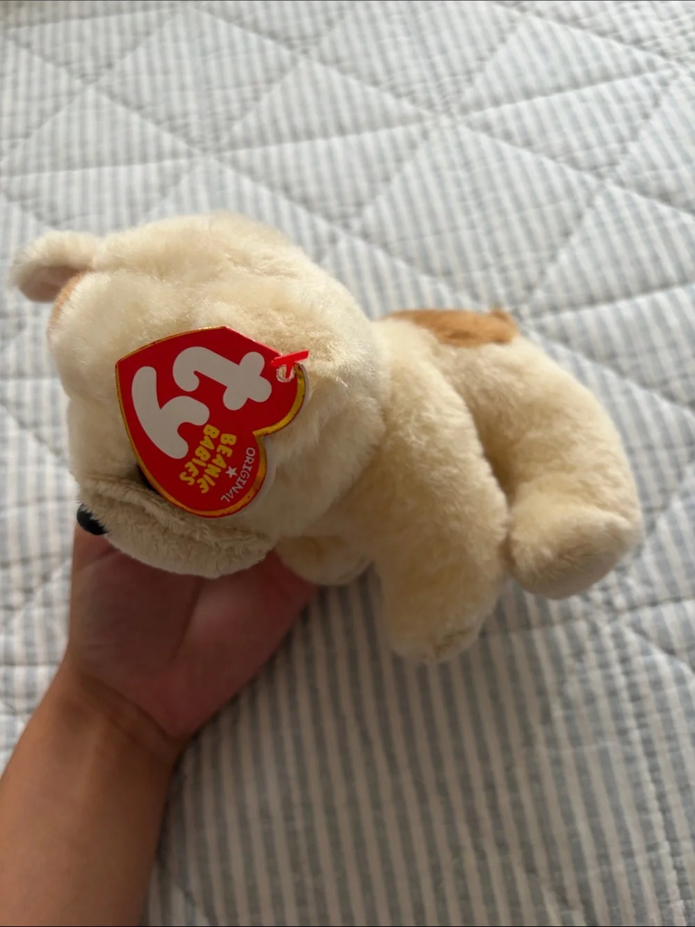 Ty soft plush