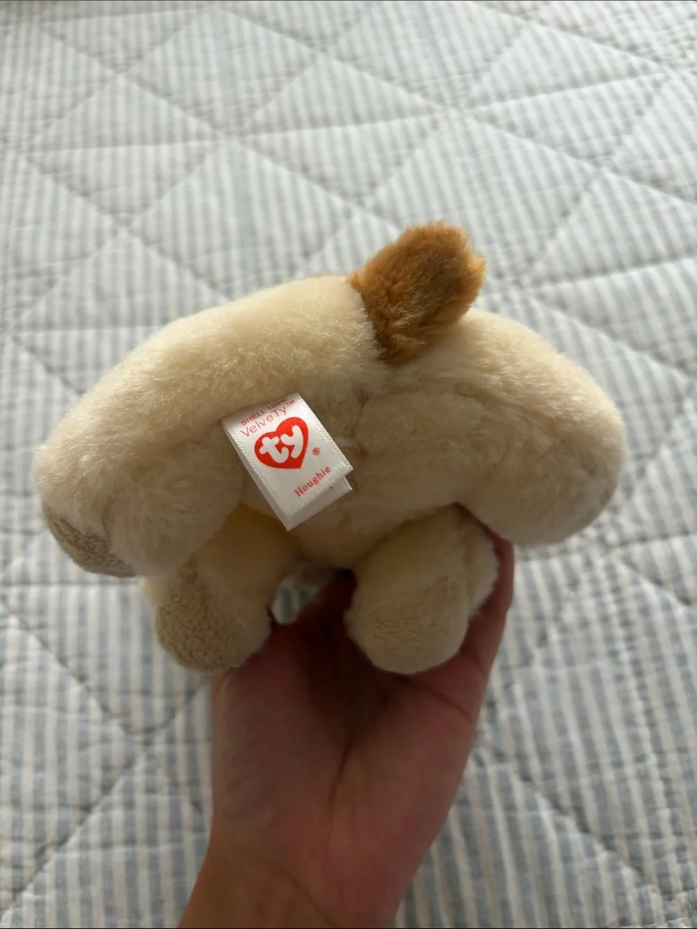 Ty soft plush