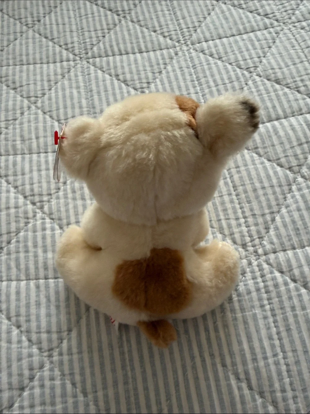 Ty soft plush