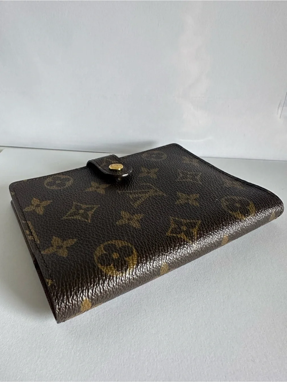 Louis Vuitton authentic louis