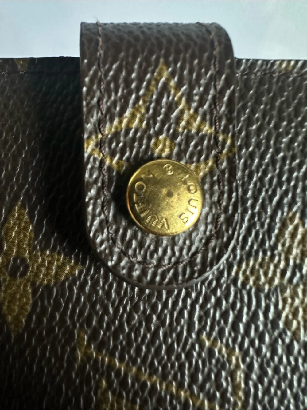 Louis Vuitton authentic louis