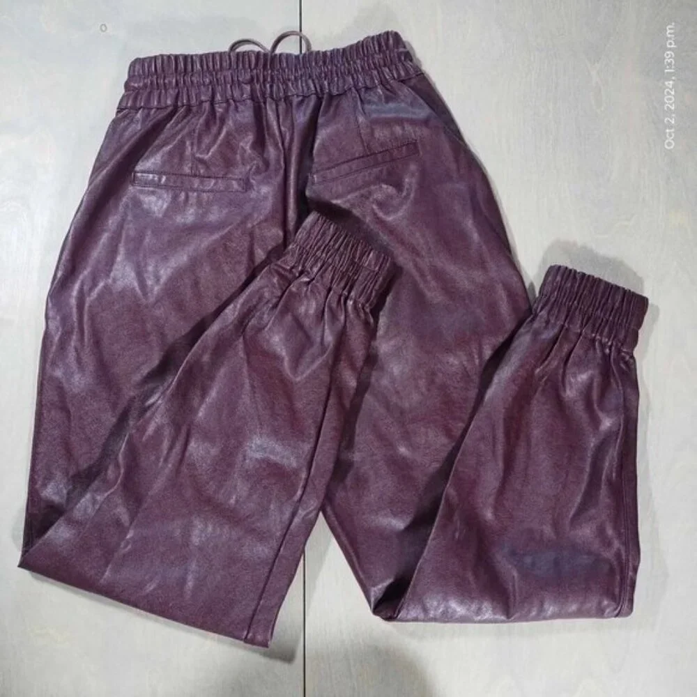 Dynamite Plum‎ Faux Leather Leather Jogger Runs larger.