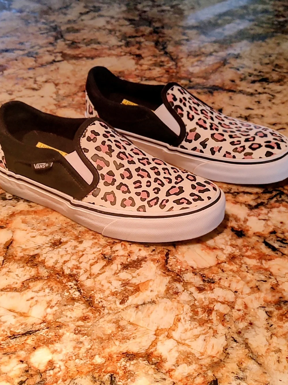 Vans asher deluxe