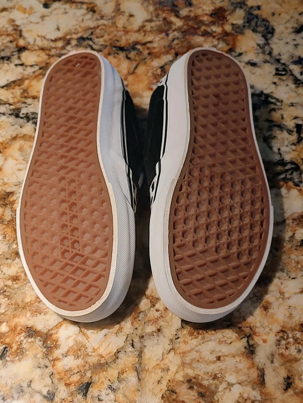 Vans asher deluxe