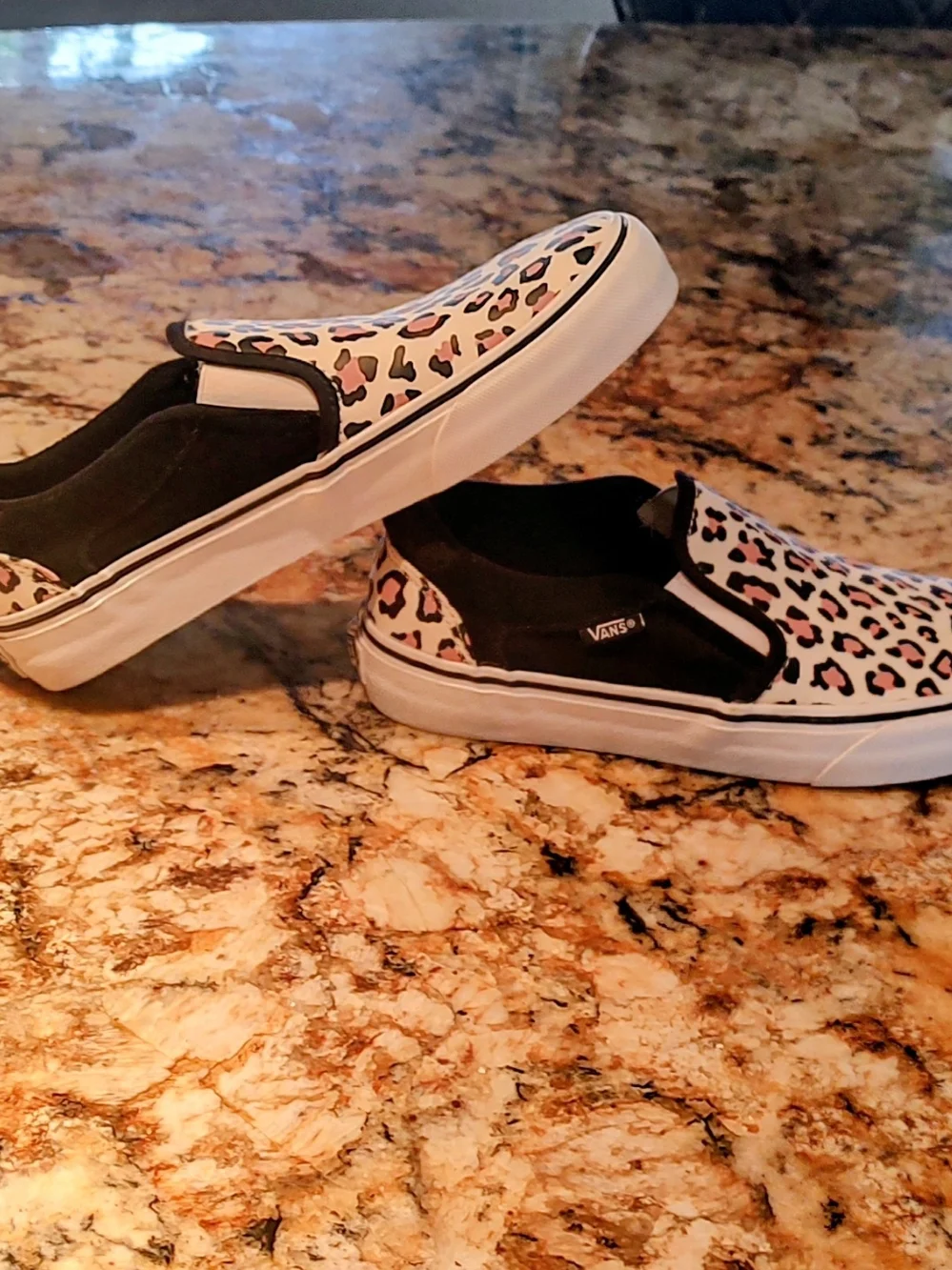 Vans asher deluxe