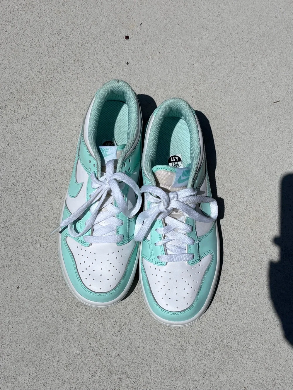 Nike youth low