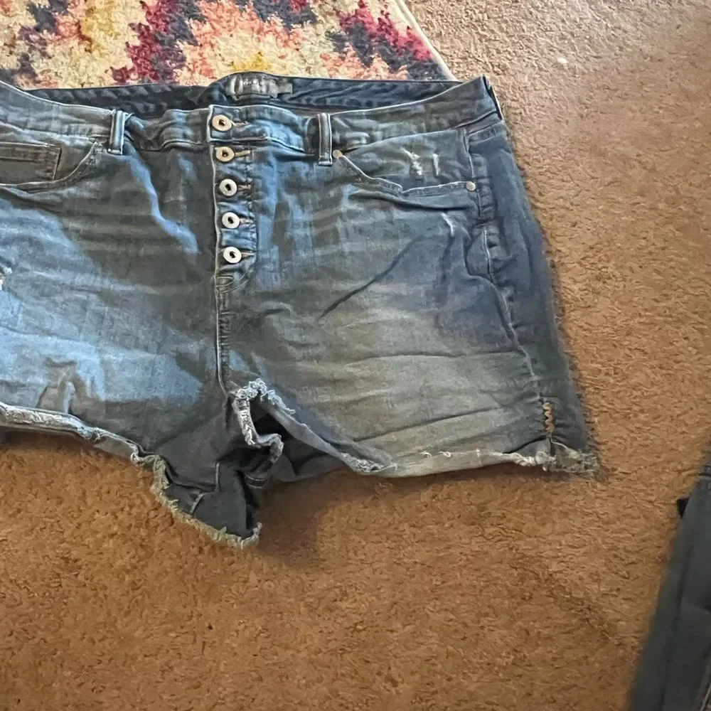 torrid great short