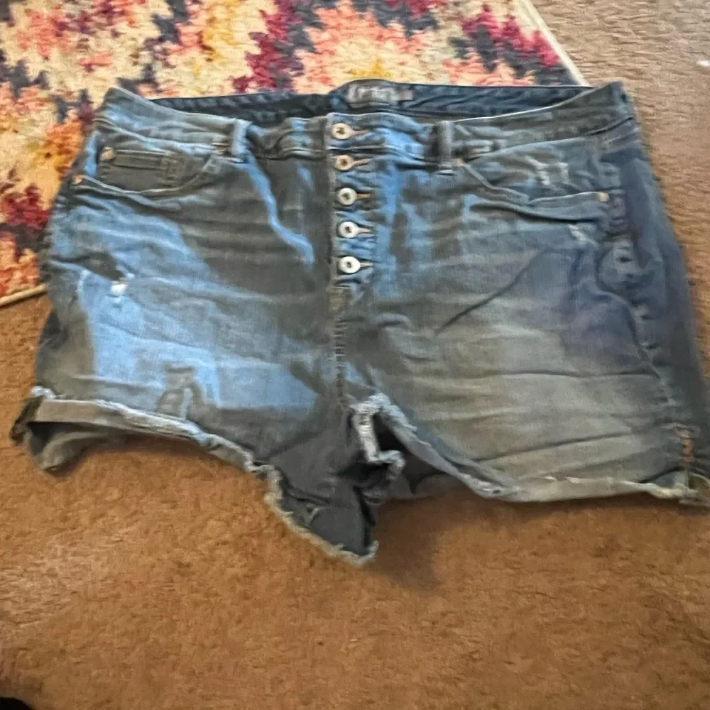 torrid great short
